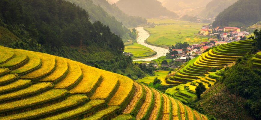 Vietnam 2025: Growth & Opportunity