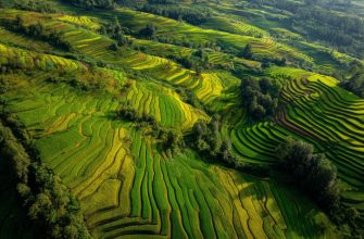 Wachstumschancen in Vietnam: Langfristiges Potenzial in Asiens aufstrebender Volkswirtschaft erschließen