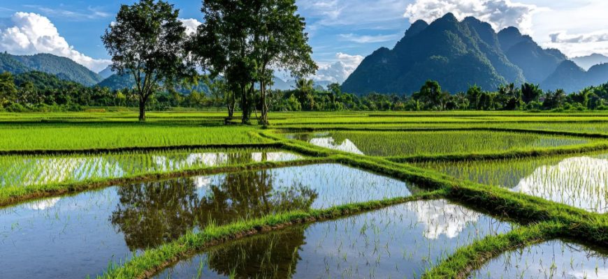 Vietnamesischer Aktienfonds: Gezielt investieren in Asiens Wachstumsmotor