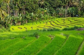 Warum ein vietnamesischer Aktienfonds für langfristige Investoren sinnvoll ist