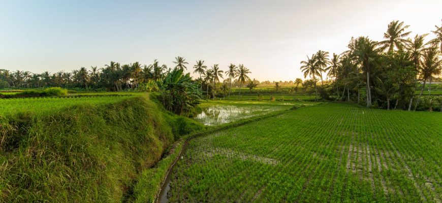 Am besten performende Vietnam-Aktien 2025: Führende Titel bei Wachstum, Rendite und Widerstandsfähigkeit