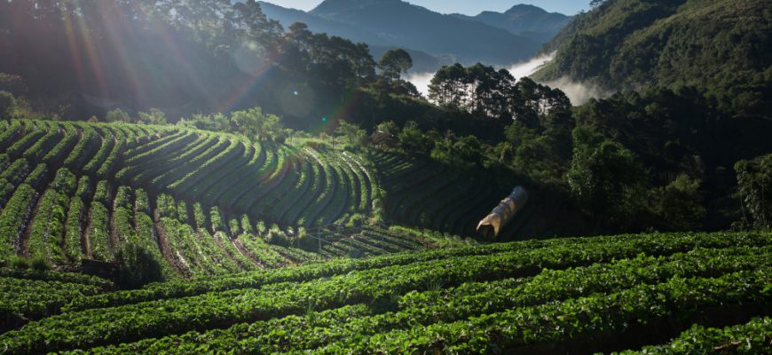 Vietnam neu denken: Wachstum, Wandel & aktive Fondsstrategien