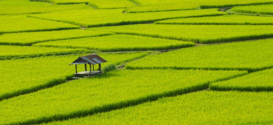 Aktive Fonds Vietnam: Wertschöpfung in einem sich rasant entwickelnden Frontier-Markt