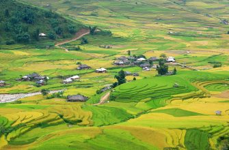 UCITS Fonds Vietnam: Reguliert investieren in Wachstum